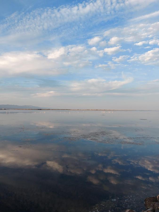 Encantador Apartamento En El Delta Del Ebro-Apartaments Iaio Kiko El Lligallo del Ganguil 外观 照片